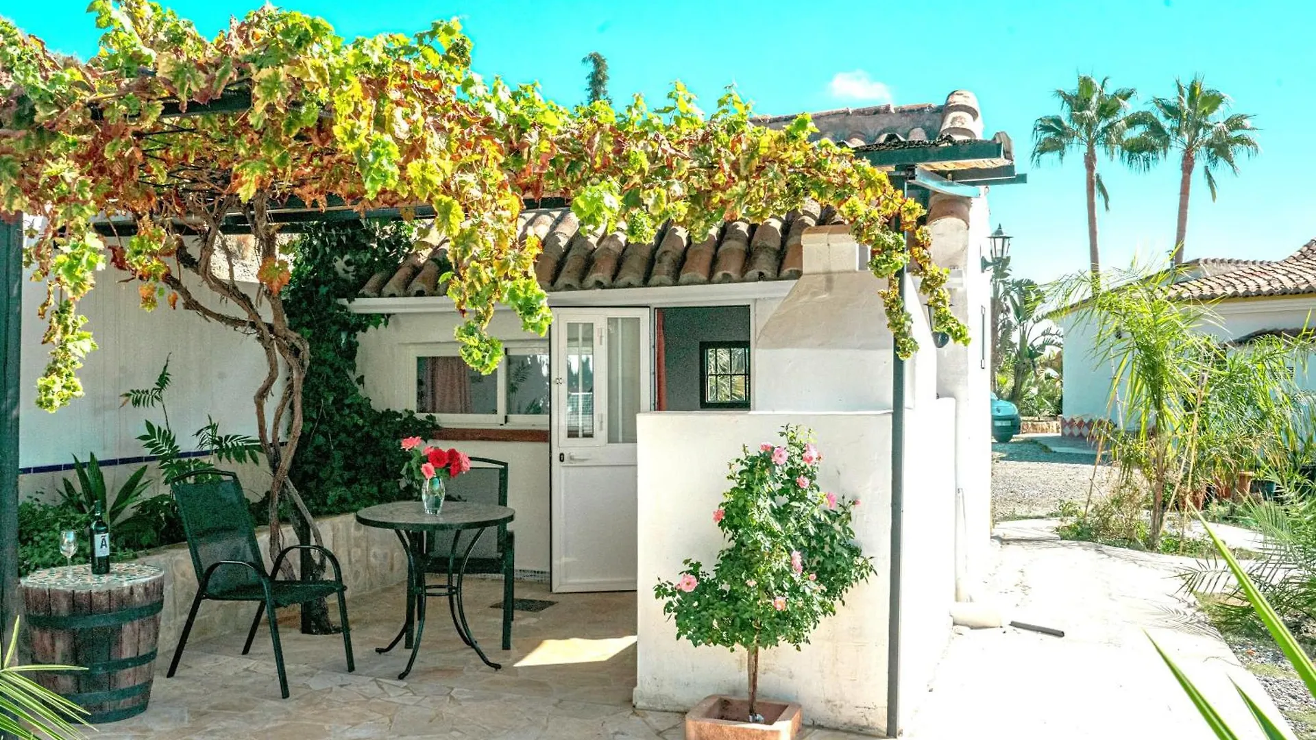 Tiny House 12M2 In Holiday Park With 55 M2 Pool Tolox
